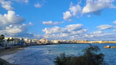 a view of a beach with buildings in the background at Kristy's House with garden in Chania Town