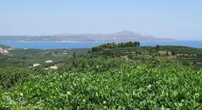 a view of a hill with the ocean in the background at Villa Oneiro Tsivaras in Tsivarás