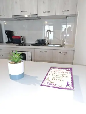 a kitchen with a sink and a table with a potted plant at Casa di Rosa in Chania Town