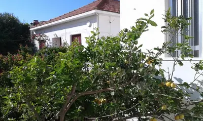 an orange tree in front of a white building at Three Bedroom Apartment in City Center with Sea View near the Beach in Kissamos