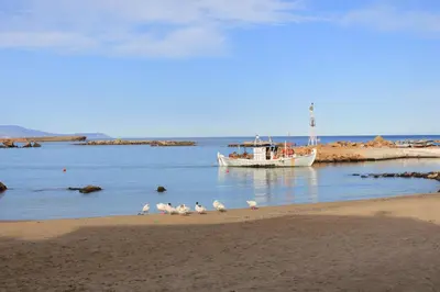 a boat in the water with birds on the beach at Superior Apartment Near Beach in Chania Town
