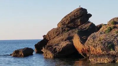 a rock formation in the water with a bird on it at Paradise in Áyios Andhréas