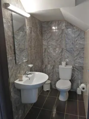 a bathroom with a toilet and a sink at Carisa Suites and Apartments in Maleme