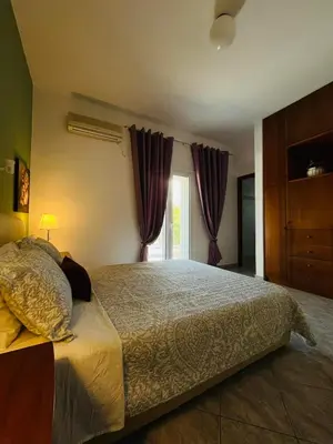 a bedroom with a large bed and a window at Villa Domenico in Vryses