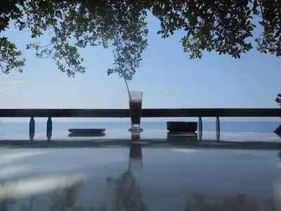 a glass of liquid sitting on a table next to a tree at Sweet Corner Masxali in Agia Roumeli