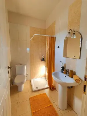 a bathroom with a sink and a toilet and a shower at Bellavista Panorama Darmarochori in Darmarochori