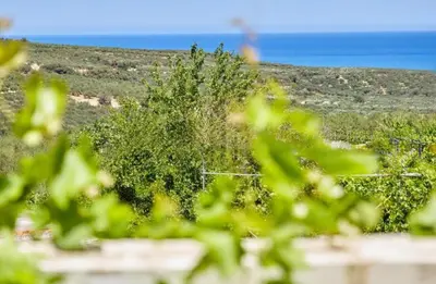 a field of plants with the ocean in the background at Elaiona Country Home in Xamoudhokhórion