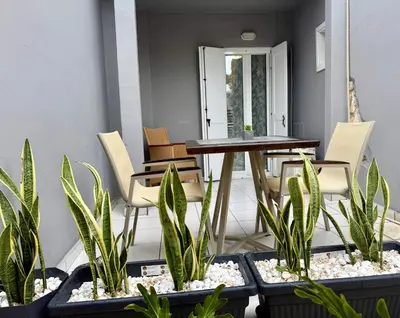 a patio with a table and chairs and plants at Dom Suites in Aghii Apostoli