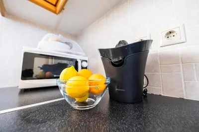 a bowl of oranges on a counter with a juicer at Villa Astrea in Sinoikismós Mamounianá