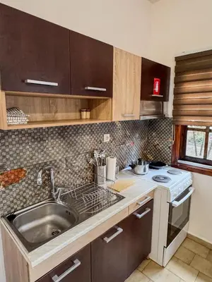a kitchen with a sink and a stove at Mike's appartments in Chania Town
