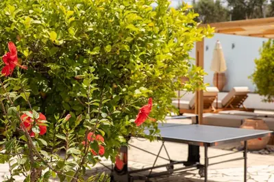 a table in front of a bush with red flowers at Villa Xamadochori in Xamoudhokhórion