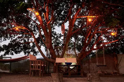 a table and chairs under a tree with lights at Batilas House next to exotic beach of Elafonisi in Elafonisi