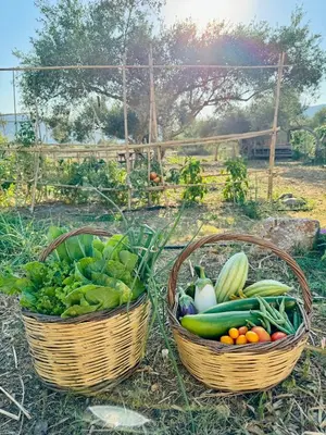 two baskets filled with vegetables sitting on the grass at WHITE MOUNTAINS Nature Home in Arménoi