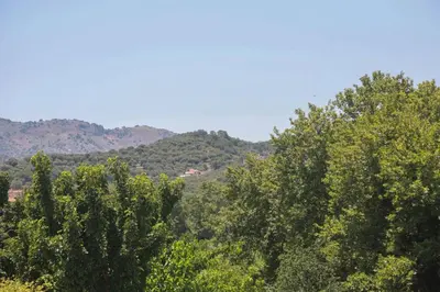 a group of trees with mountains in the background at Tzei House - 5min drive to beach in Perivólia