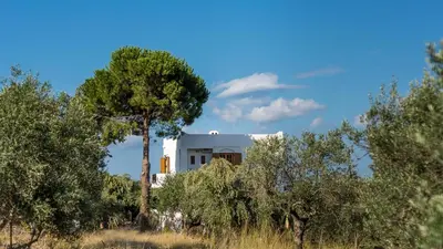 a white house in the middle of trees at Lilly Traditional Cretan Villa in Dhrakóna