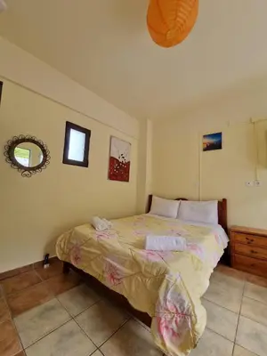 a bedroom with a bed and a mirror at Stefanos Garden2 in Arménoi