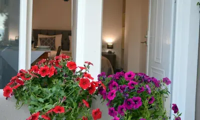 a bunch of red and purple flowers in a room at Tile apartments 1 in Agia Marina Nea Kydonias