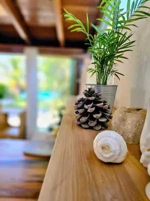 a pine cone and a plant on a table at Zen House with Fairytale Garden & Sea View in Daratso