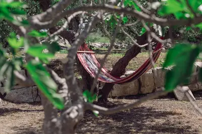 a hammock hanging from a tree in a park at Nicola's House in Tsivarás