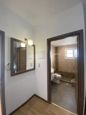 a bathroom with a mirror and a toilet at Tile Apartments 4 in Agia Marina Nea Kydonias