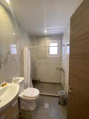 a bathroom with a shower and a toilet and a sink at Tile Apartments 6 in Agia Marina Nea Kydonias