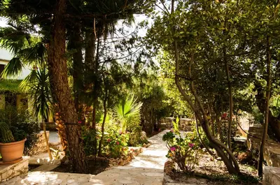 a path through a garden with trees and flowers at Natalia's Houses in Chania Town