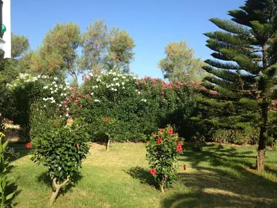 a group of trees with flowers on them in a yard at Lito Beach Hotel in Gerani Chanion