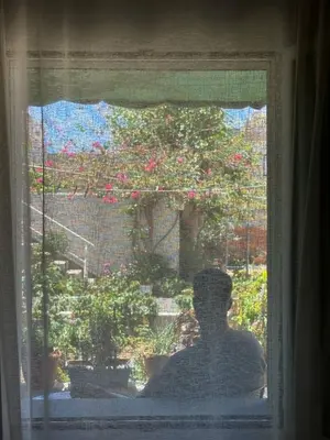 a shadow of a person looking out of a window at EYTYXHS Studios in Palaiochóra