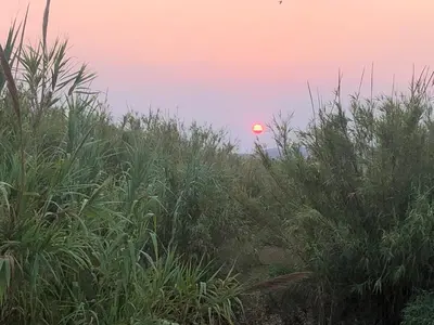 a sunset over a field of tall grass at Solar Retreat Maleme in Maleme