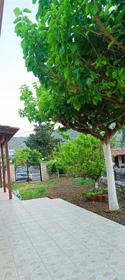 a tree sitting next to a sidewalk next to a park at casa di Beatrice in Georgioupolis