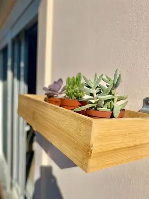 a wooden shelf with potted plants on a wall at AmaliZen, Steps From The Sea in Chania Town
