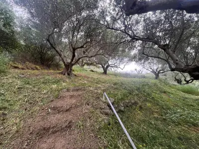 a field with trees on a hill with a fence at Among The Stars chania Outdoor Camping in Ástrikos