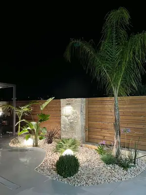 a palm tree in front of a wooden fence at Amare suite 2 in Perivólia