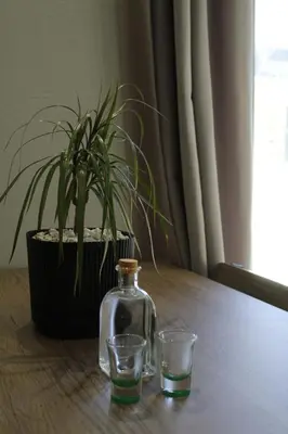 a glass bottle and two glasses on a table with a plant at Unique Apartment 2 in Chania Town
