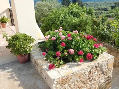 a stone planter with pink flowers on a porch at Kaina Villa in Vamos