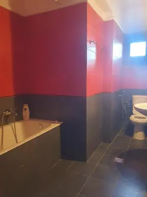 a bathroom with a bath tub and a toilet at Villa Eudokia Terrace Views Pool in Douliana