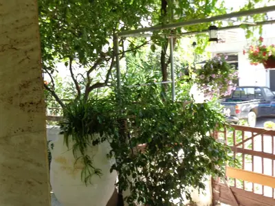 a large white pot with plants in it on a balcony at Savas Rooms in Palaiochóra