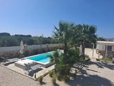 a swimming pool with a palm tree next to a house at Villa Dadis in Chania