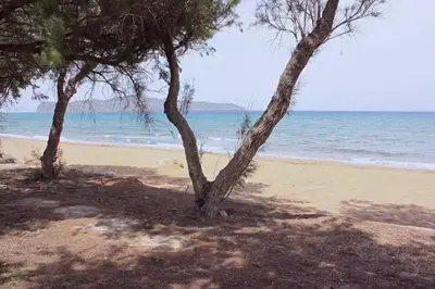 two trees on a sandy beach near the ocean at Fifty Shades of Blue 10 sec to sea 5PL 2BD 2BA in Stalos