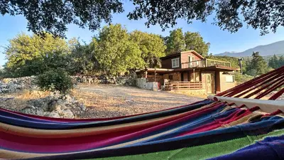 a hammock in front of a log cabin at The Root House - Crete Stay in Vafés