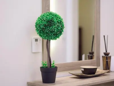 a potted tree sitting on a table in front of a mirror at Chania Charming Nest in Chania Town