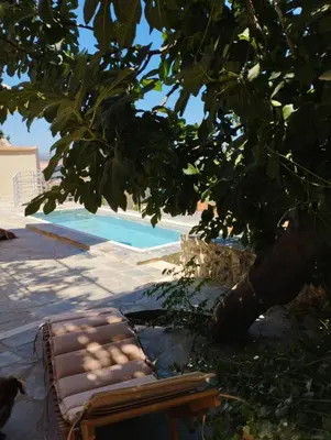 a bench next to a swimming pool next to a tree at Le Havre in Païdhokhórion