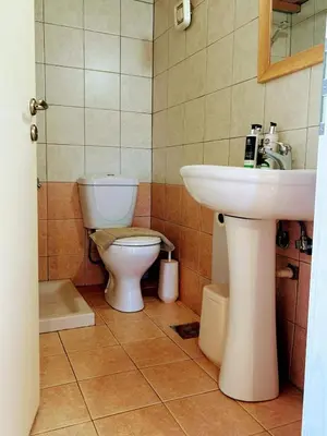 a bathroom with a sink and a toilet at Le Havre in Païdhokhórion