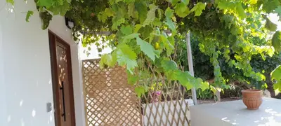 a bunch of green grapes hanging from a fence at Casa di Laino in Kounoupidhianá