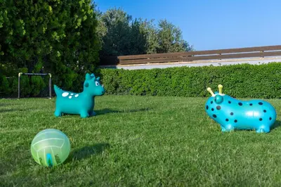 two blue plastic animals in a field with a soccer ball at Villa Aurora 1- Getaway Bliss in Xamoudhokhórion