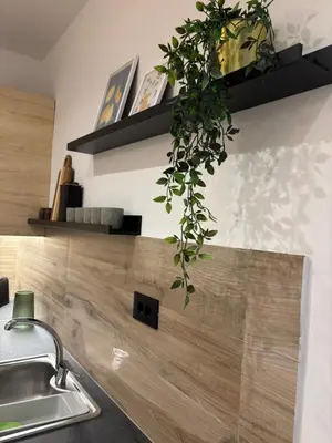 a kitchen with a sink and a plant on the counter at Sofia's Home in Chania Town