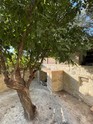 a tree sitting next to a stone wall at Casa Maria in Gramvousá