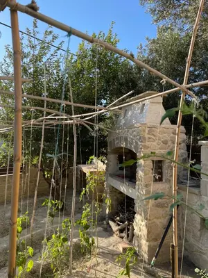 a greenhouse with plants growing in it at Casa Maria in Gramvousá