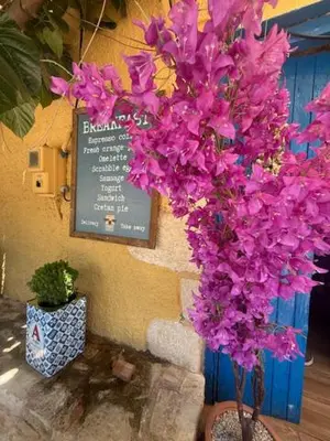 a bunch of purple flowers in front of a sign at Casa Aptera in Megála Khoráfia