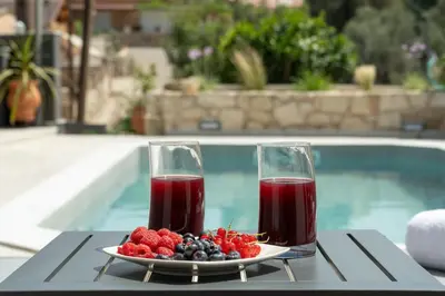 a plate of berries and two glasses of juice on a table at Echoes of Prinos in Metókhion Yianítsari